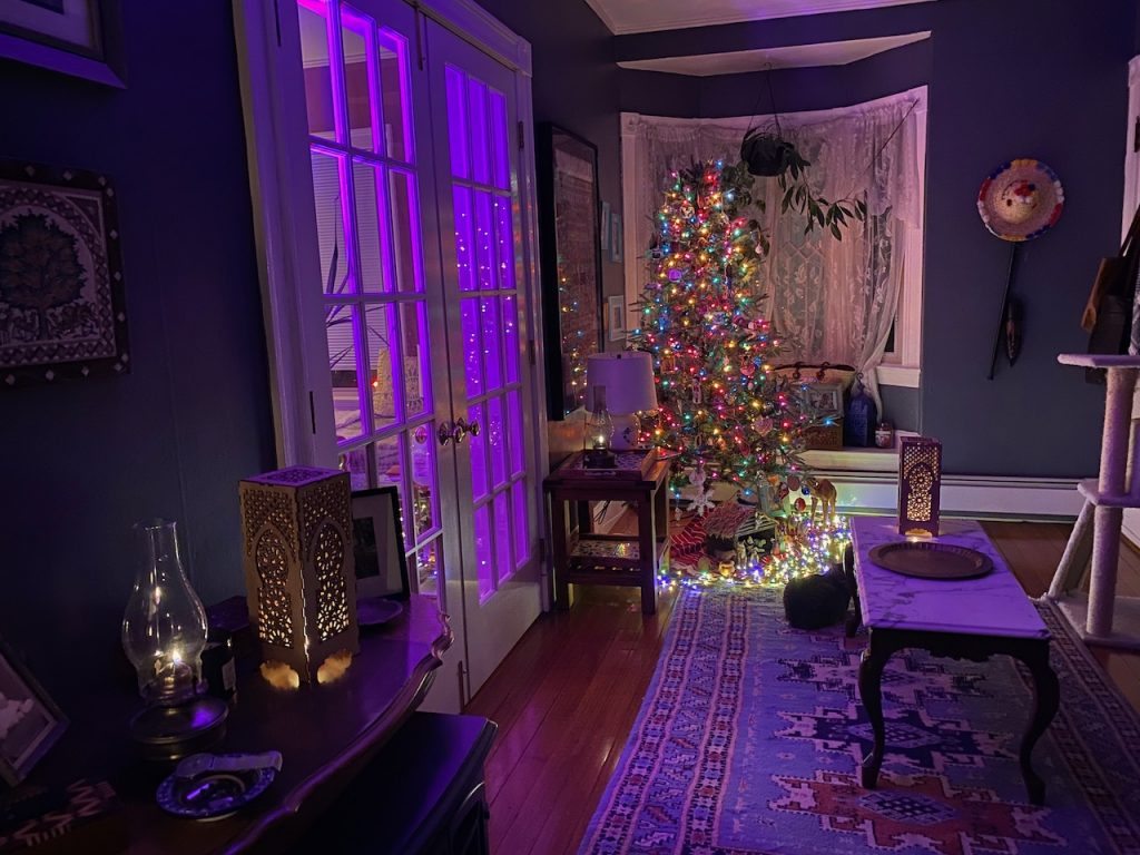 Room at night with Christmas Tree